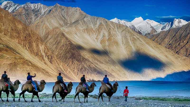 Amazing-Ladakh--Banner