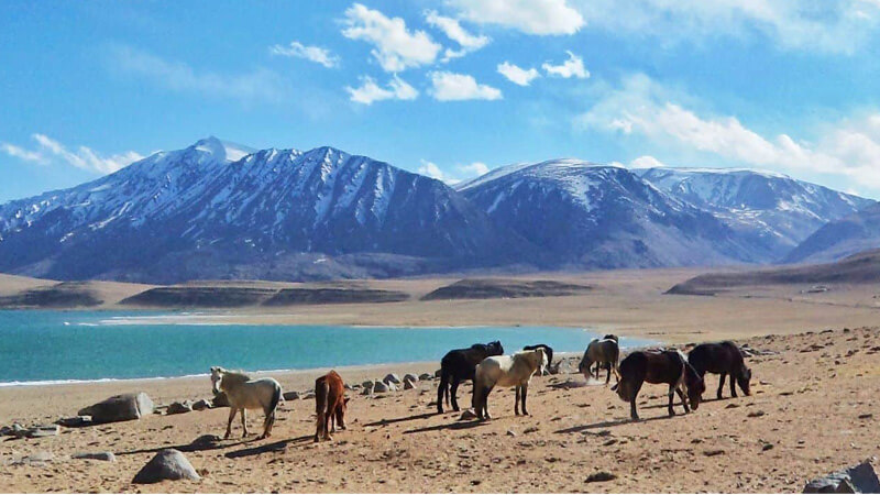 Explore-Ladakh-Banner