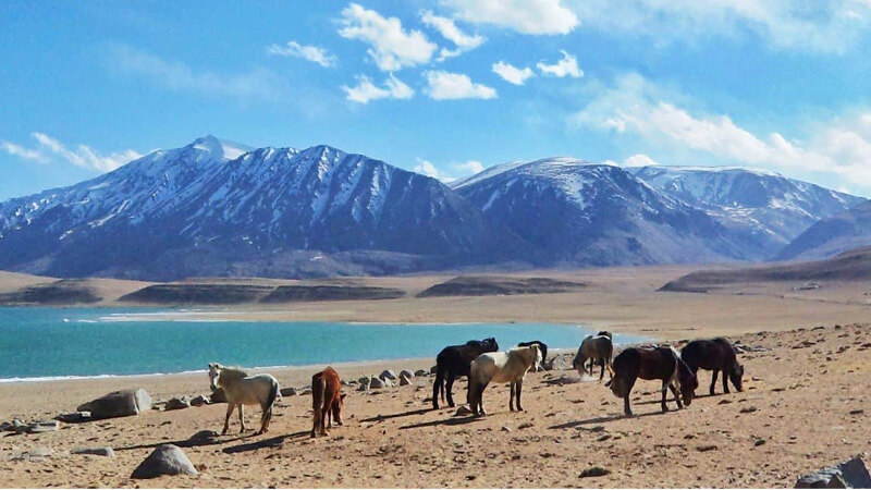 Explore-Ladakh-Banner