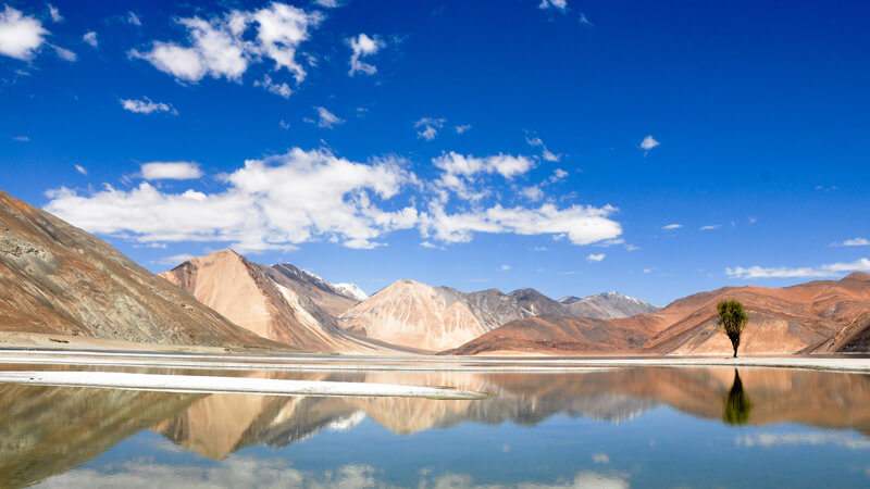 Glimpse-of-Ladakh-Banner