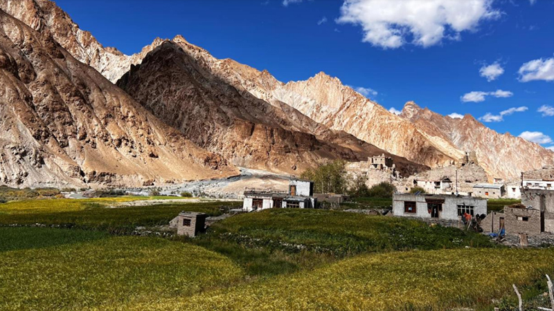 affordable ladakh trekking packages